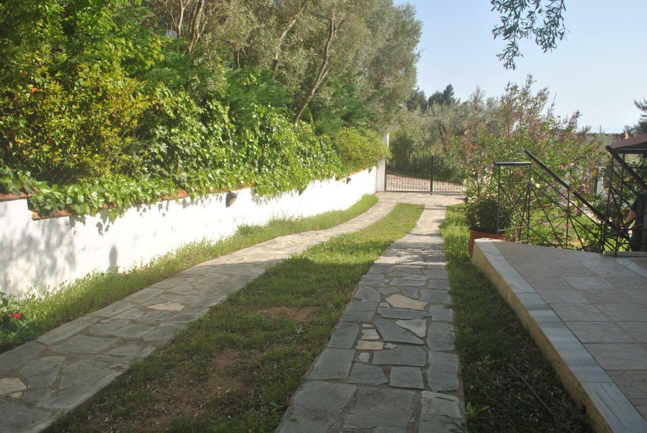 Studio Metamorfosi מראה חיצוני תמונה