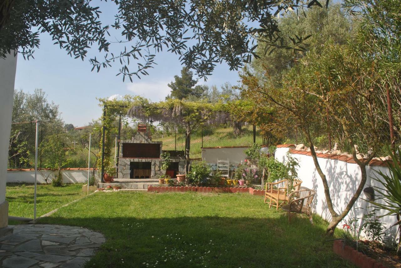 Studio Metamorfosi מראה חיצוני תמונה